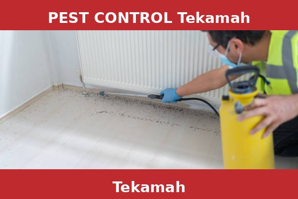 PEST CONTROL Tekamah
